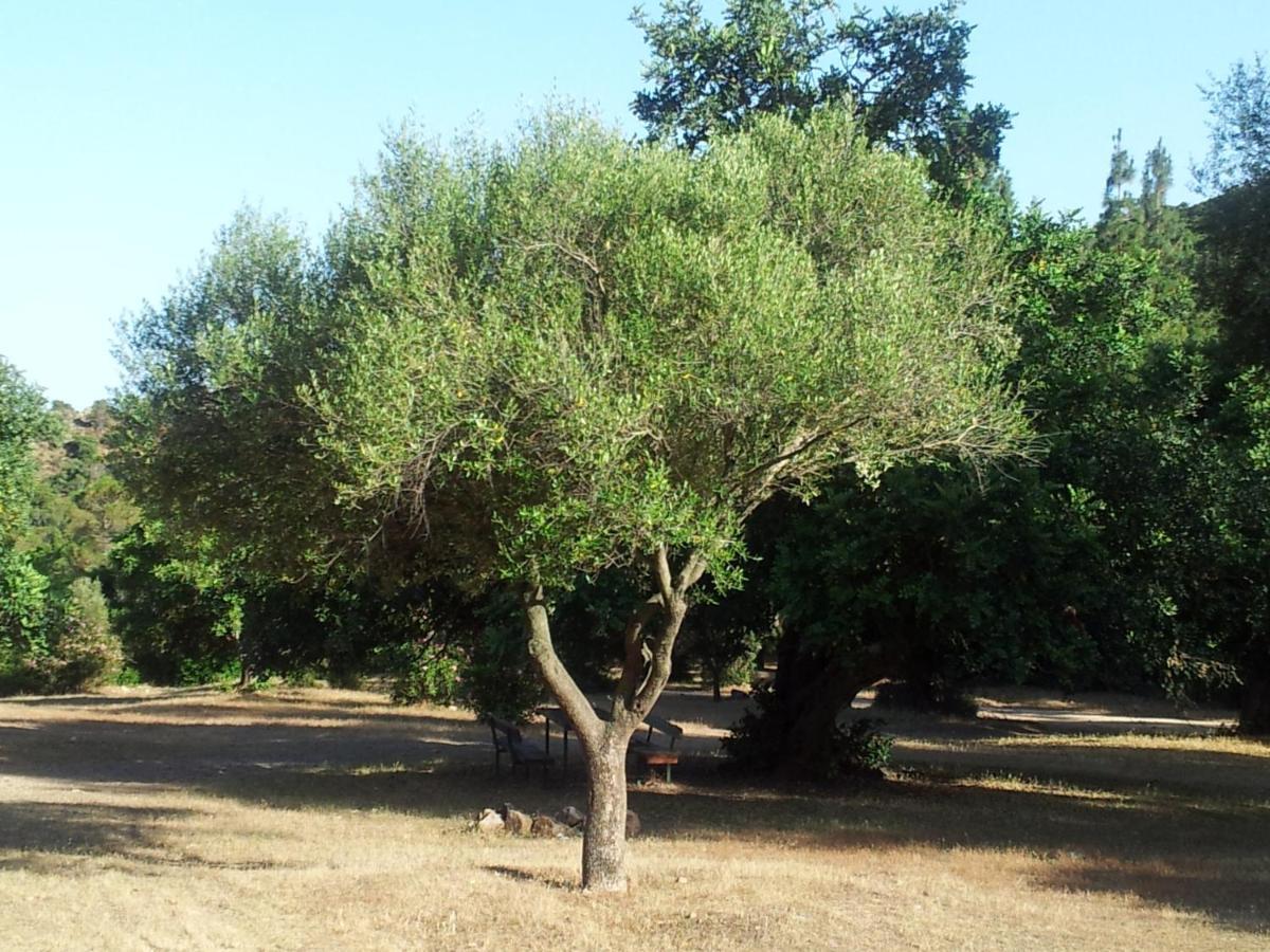 La Casa Di Sara Βίλα Pula Εξωτερικό φωτογραφία