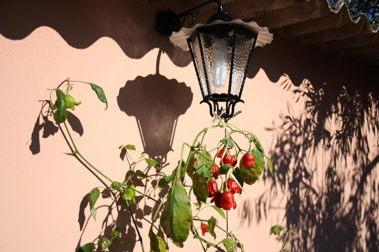 La Casa Di Sara Βίλα Pula Εξωτερικό φωτογραφία